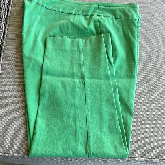 Vibrant Green Pants - Picture 1 of 4